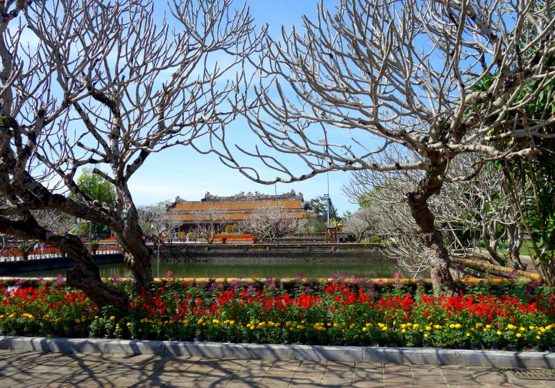 tet vietnam hue citadelle